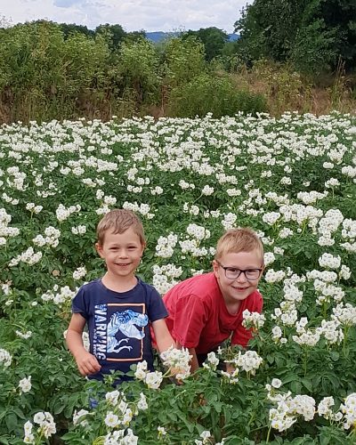 Kinder Nachwuchs Kartoffelfeld Blüte bienenfreundlich Naturfreunde Parkstetten Landkreis-Straubing-Bogen